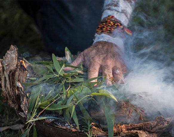 Our reconciliation journey at CNV